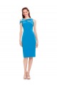 Mermaid Cocktail Length Formal Dress