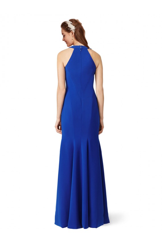 Royal Blue Mermaid V-Neck Long Formal Dress